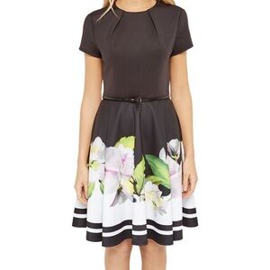NWOT Ted Baker London Vidaa Forget-Me-Not Skater Dress Ted size 1 US size 4